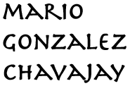 Mario Gonzalez Chavajay